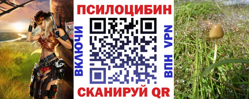 MEGA маркетплейс  Закаменск  Галлюциногенные грибы мицелий  дарнет шоп 